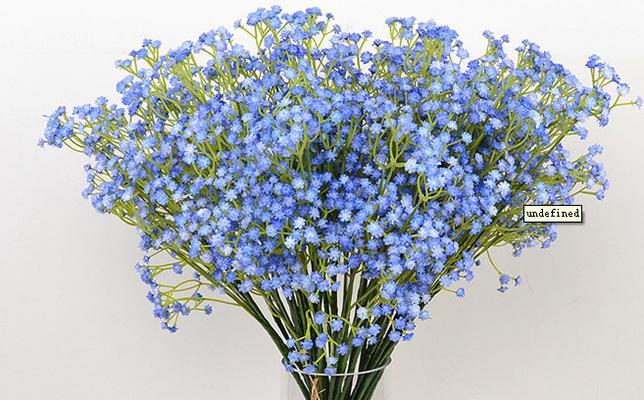 蓝色满天星的花语与寓意（探寻蓝色满天星的美丽与神秘）