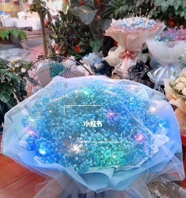 蓝色满天星的花语和寓意（揭秘蓝色满天星花的意义和象征）