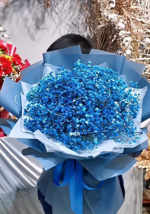 蓝色满天星的花语及其意义解读（揭示蓝色满天星花语的浪漫与深刻内涵）