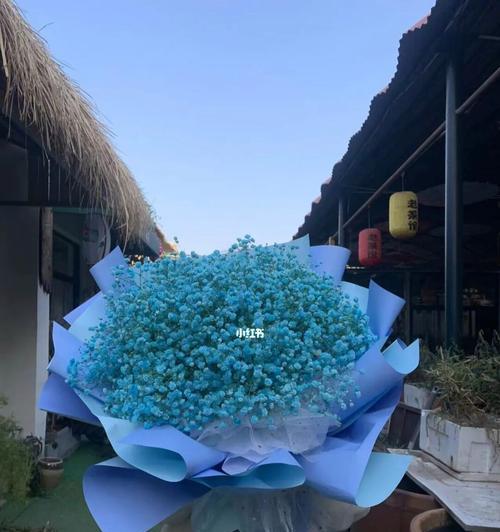 蓝色满天星的花语及其意义解读（揭示蓝色满天星花语的浪漫与深刻内涵）