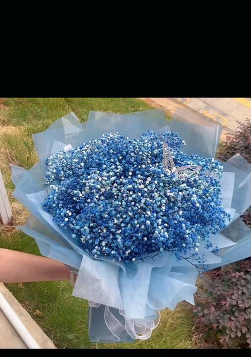 蓝色满天星花语的深刻含义（探索蓝色满天星花语的美丽秘密）