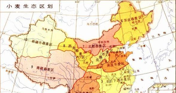 探寻小麦的起源地（揭开小麦故乡的神秘面纱）
