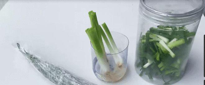 小苏打的神奇功效（从家庭菜园到大型农田）