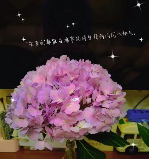以木绣球的花语（以木绣球的花语和寓意解读）