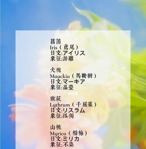 梅花的网名花语是什么？如何选择寓意美好的梅花网名？