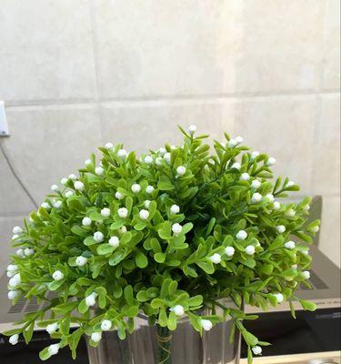 米兰花的花语是什么？米兰花有哪些特点？