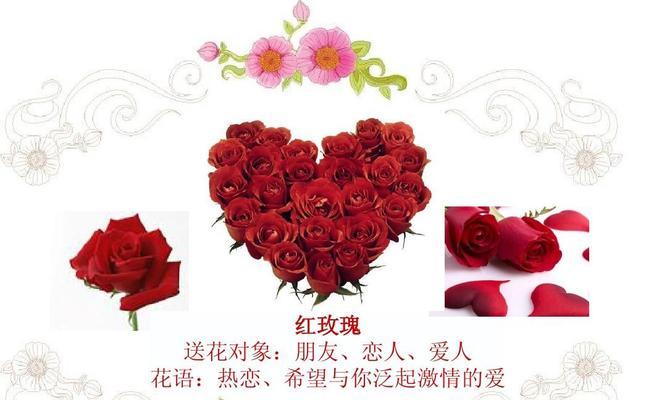 22朵玫瑰代表什么意思？花语背后隐藏着哪些情感？