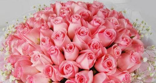 2朵玫瑰花代表什么意思？花语背后的爱情寓意是什么？