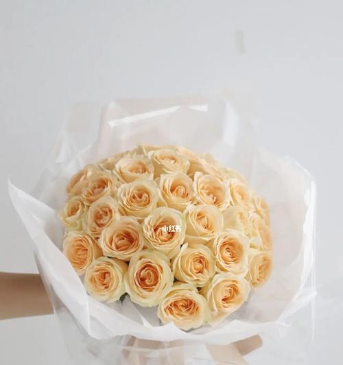 33朵香槟玫瑰代表什么含义？花语解读常见问题有哪些？