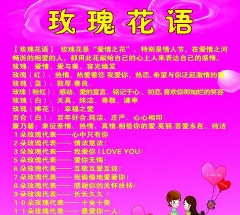 见面时送玫瑰花有何含义？它传递了哪些情感信息？