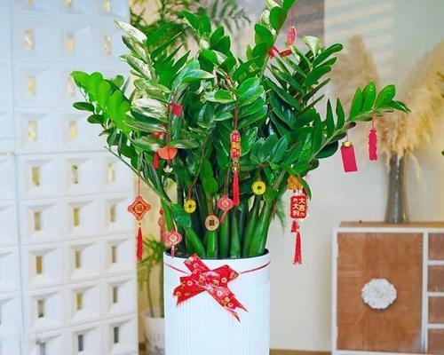 搬新家时送哪种绿植花盆栽最合适？绿植花盆栽有何吉祥寓意？