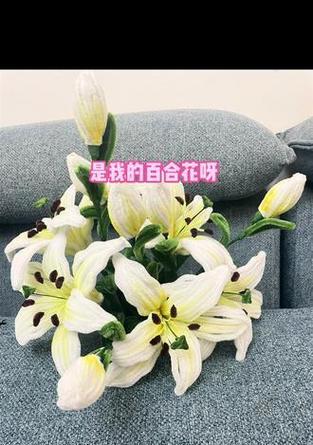 抖音昵称“百合正在直播”代表什么？