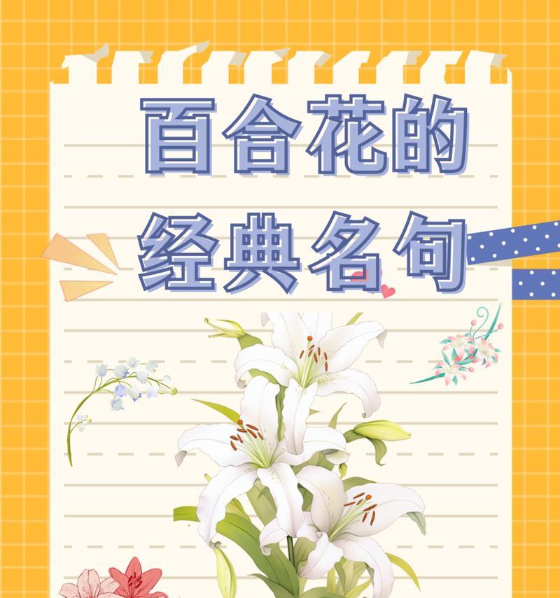 香百合的花语和含义是什么？香百合代表什么？