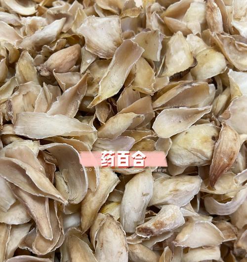 药物百合的作用是什么意思？它在药用上有何功效？