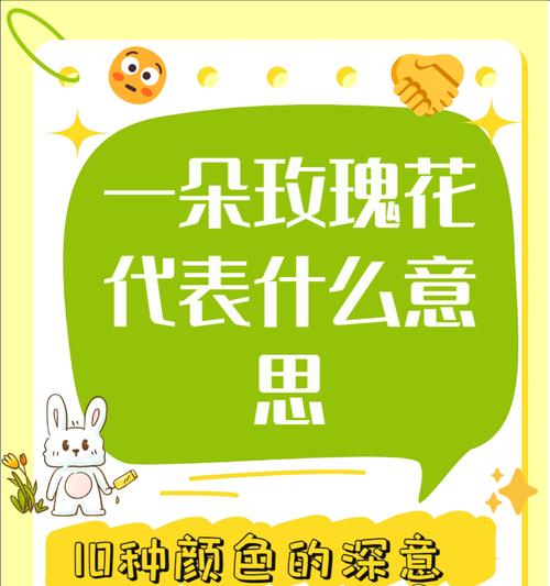 男生送布玫瑰花给女生有何含义？它代表了什么情感？
