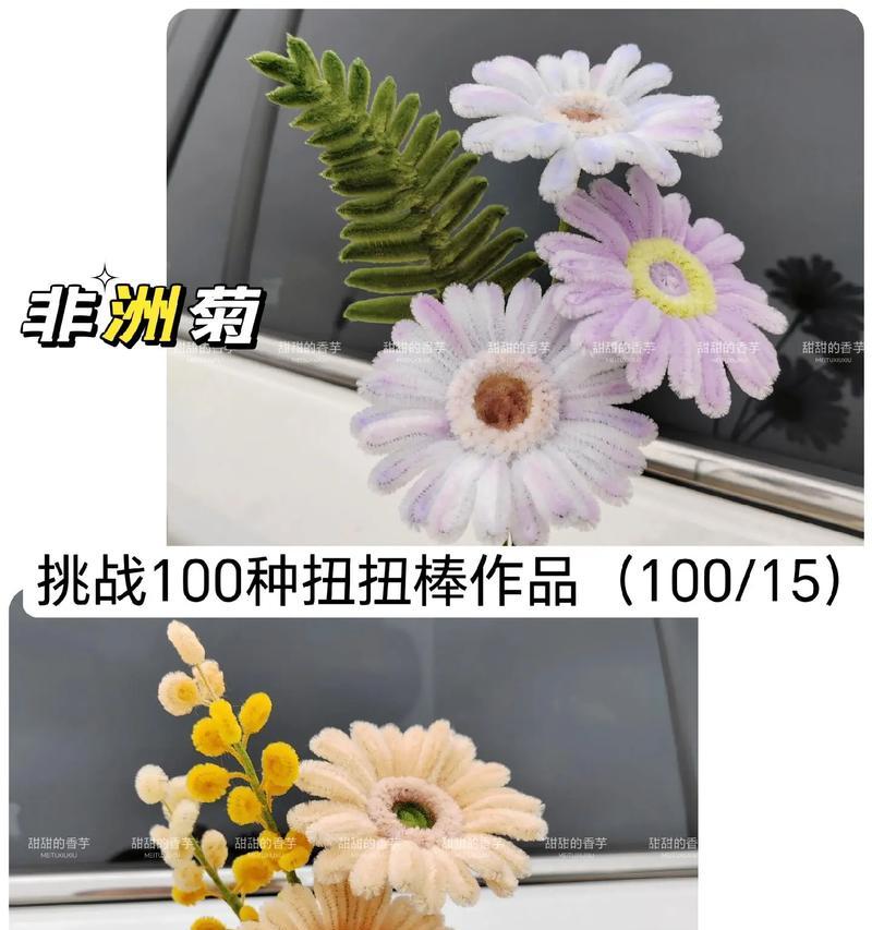 扶郎花的花语是什么意思？它在花语中代表了哪些情感？