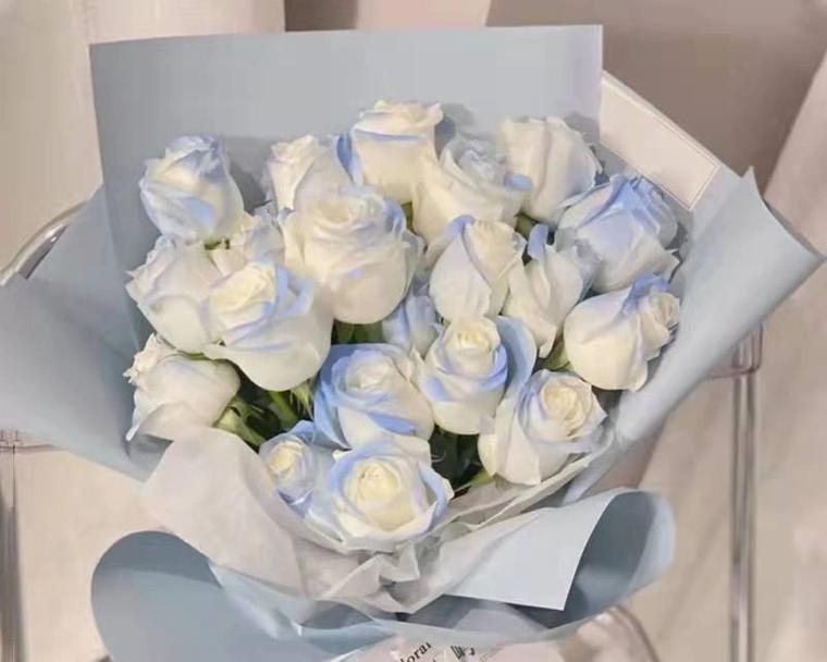 买个盆栽担心盆栽去什么意思？白玫瑰花名花语是什么？