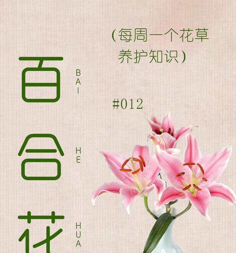 百合花的花语是什么？百合在不同文化中代表什么？