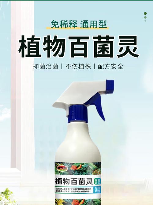 哪些植物具有杀菌作用？植物杀菌的原理是什么？