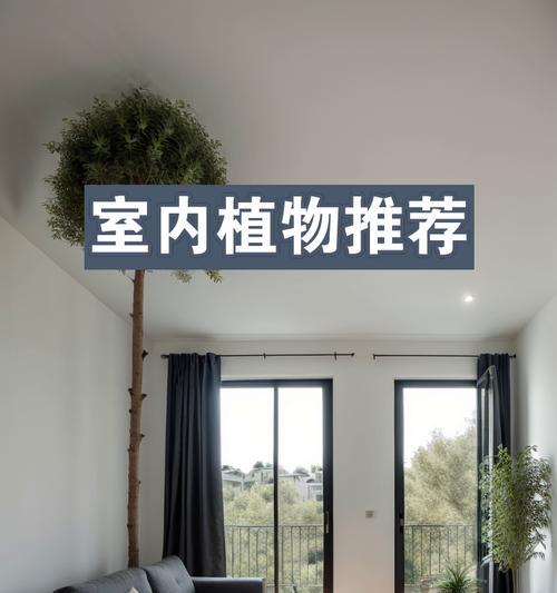 怎么增加湿度植物？哪些方法可以有效提高室内植物的湿度？