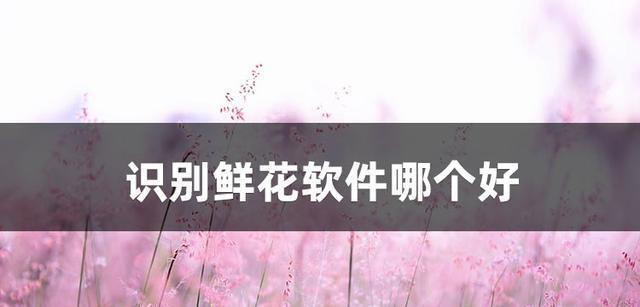 如何使用扫描技术识别花草植物？识别过程和结果如何？