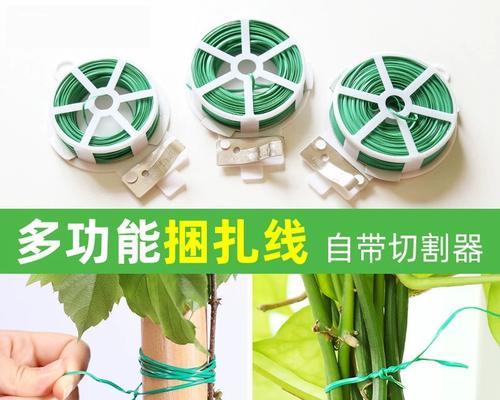 窗边矮小花卉有哪些品种？植物支架绑绳怎么绑？