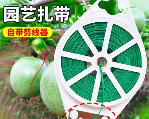 窗边矮小花卉有哪些品种？植物支架绑绳怎么绑？