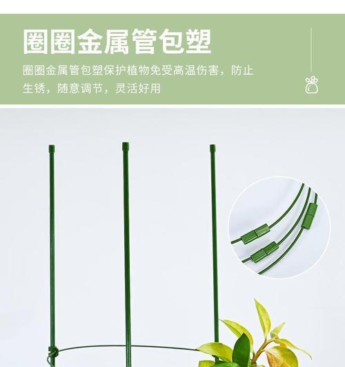 窗边矮小花卉有哪些品种？植物支架绑绳怎么绑？