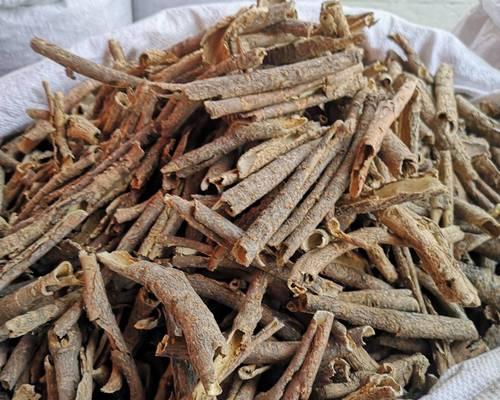 五加皮是什么植物的皮？五加皮的药用价值有哪些？