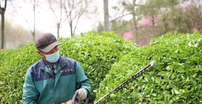 公路旁适合种植哪些灌木花卉？它们的养护要点是什么？