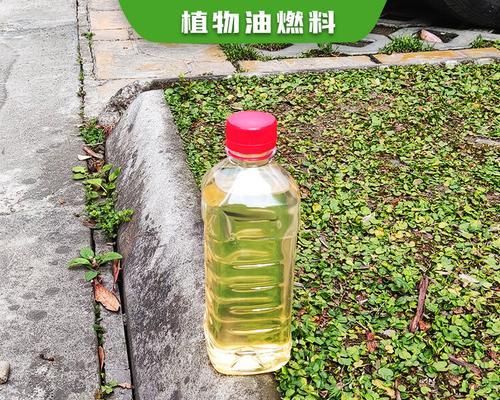 烘干植物油要多久？如何确保植物油的质量？