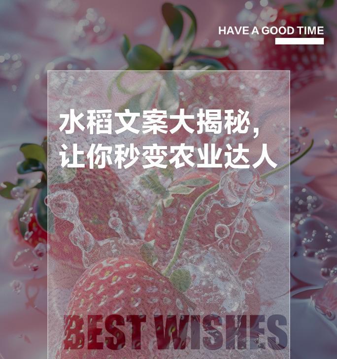 “下水稻”是什么意思？这个表达在农业中有何含义？