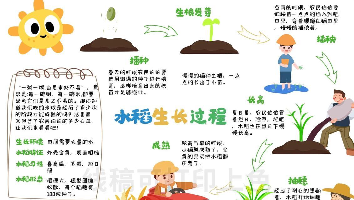 水稻浸种去瘪谷的过程是怎样的？其目的是什么？