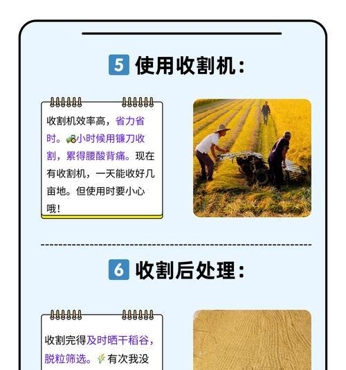 水稻浸种去瘪谷的过程是怎样的？其目的是什么？