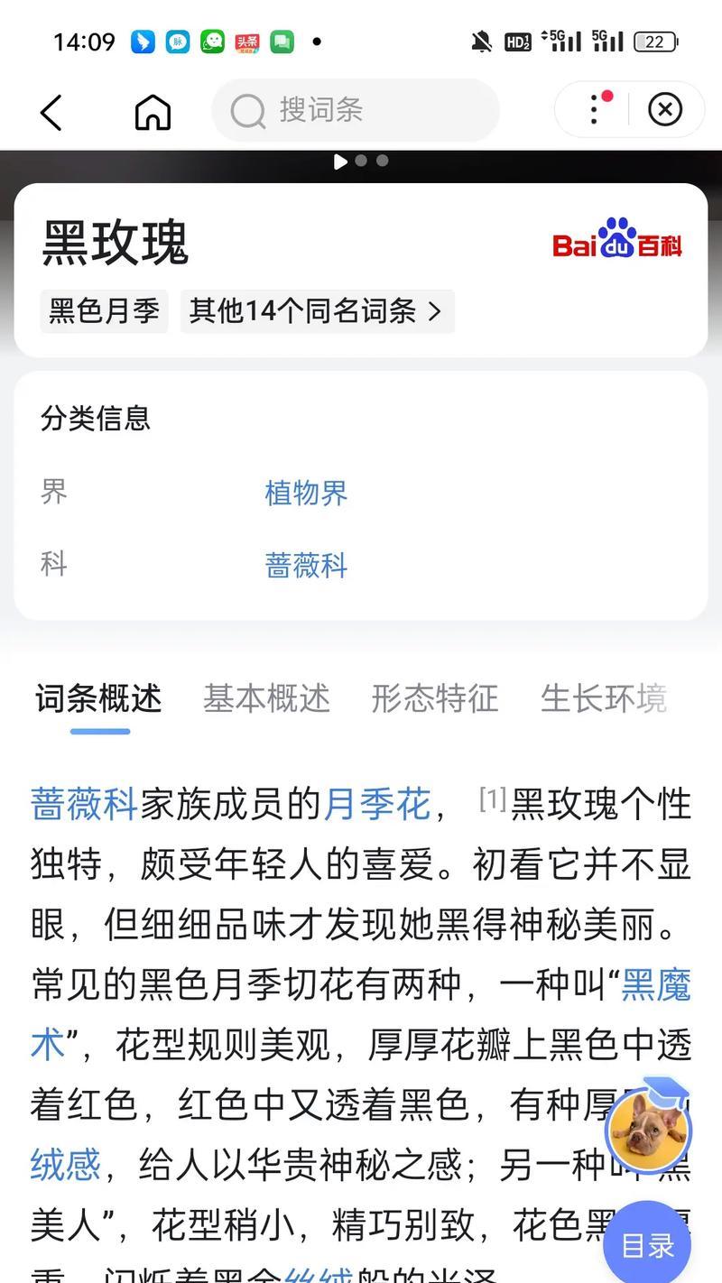 男性送黑色玫瑰花有何深层含义？