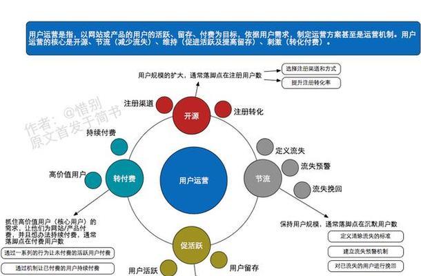 伟健花卉市场运营团队有哪些？他们的主要职责是什么？