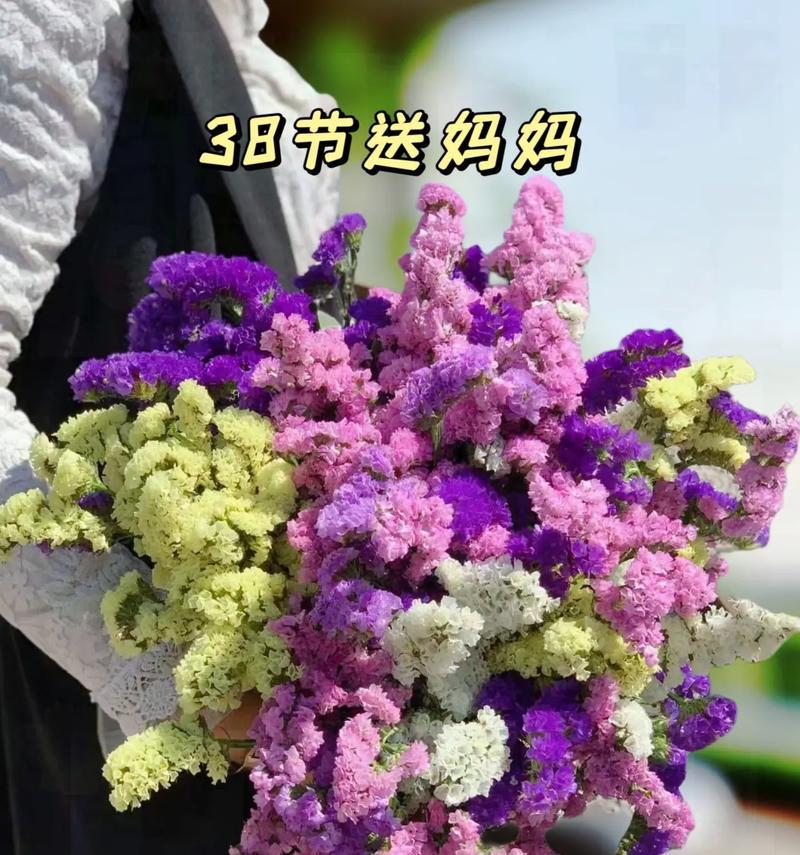 勿忘我花语背后的故事是什么？