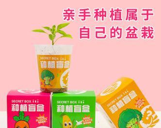 生日时送哪种植物最合适？植物作为生日礼物有何寓意？
