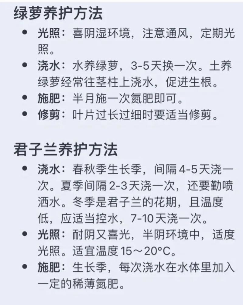水养植物的挑选和养护技巧是什么？