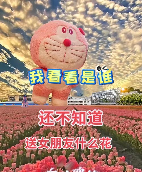 红玫瑰内含白玫瑰有何寓意？