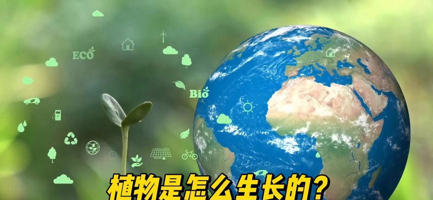 哪些植物难以根除？如何有效控制这些植物的生长？