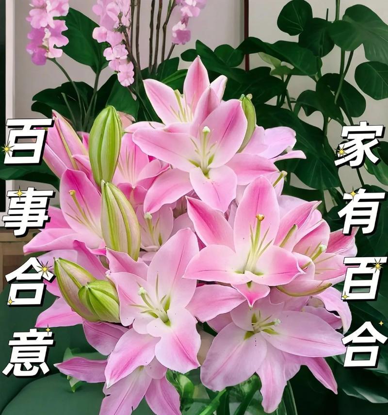 “搞百合”在现代语境中是什么意思？它在社交中代表了什么？