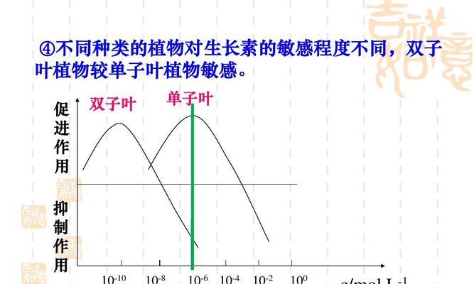 植物耀素有什么功效？使用耀素对植物有哪些好处？