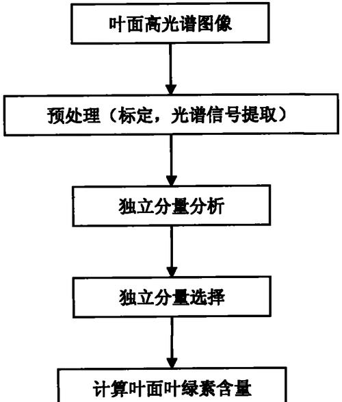 植物浸制技术的专利情况如何？