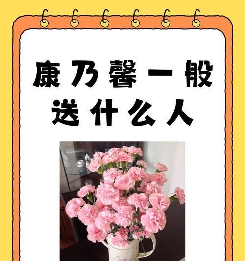 康乃馨象征着哪类人群？
