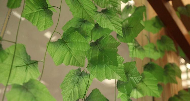 怎么捏水生藤蔓植物？制作技巧是什么？