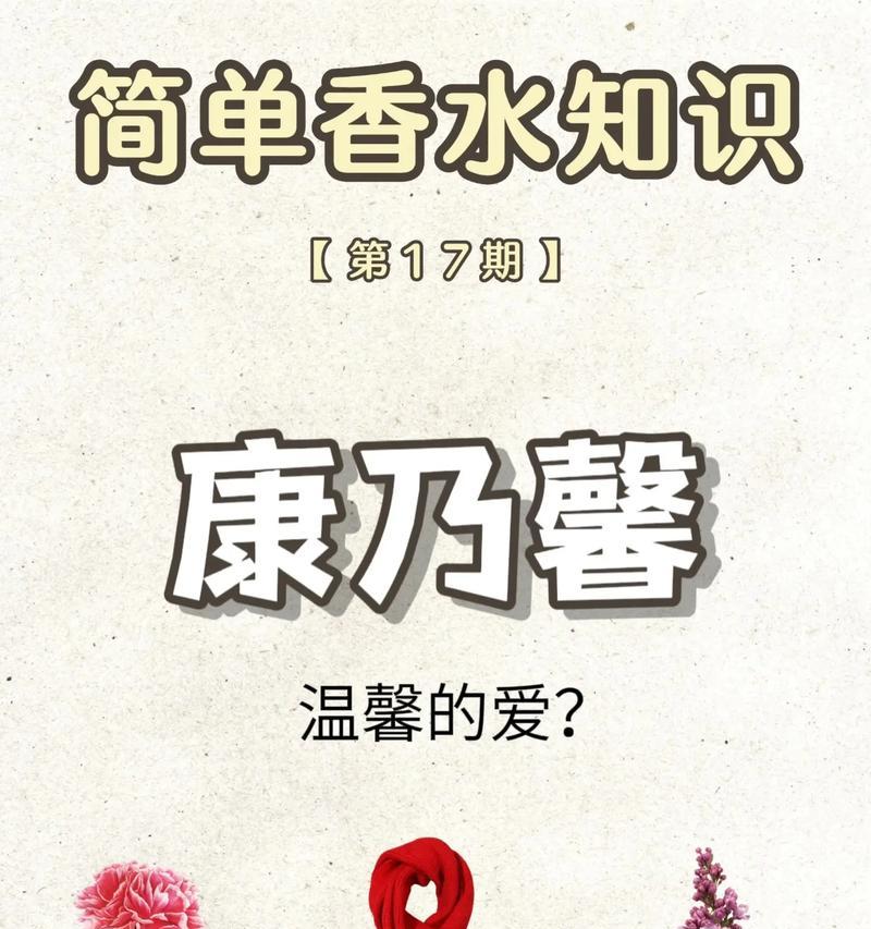 东北康乃馨种植条件是什么？需要哪些特别的照顾？