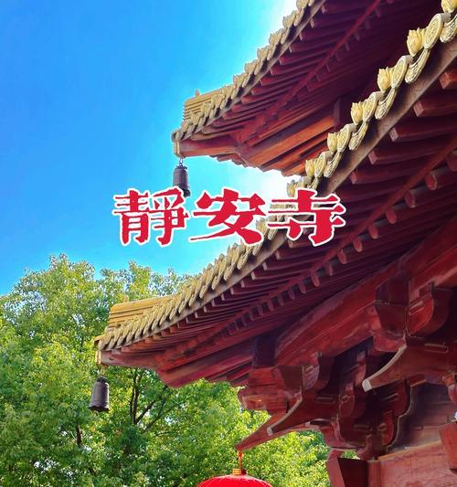 寺庙莲花的寓意是什么？它在佛教文化中的地位如何？