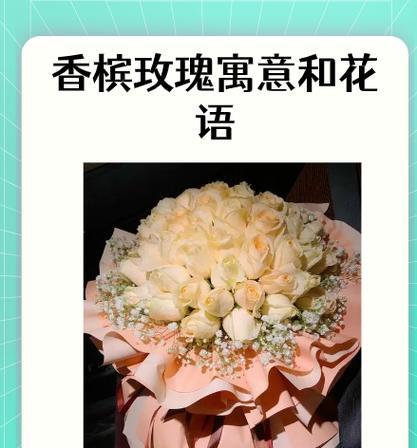 送玫瑰花给自己有何意义？这种行为背后的含义是什么？