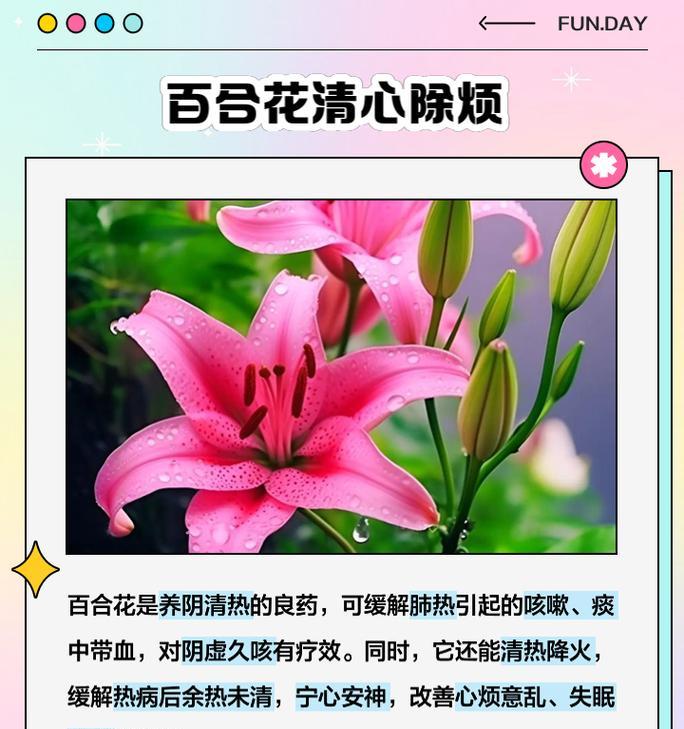百合花语能用两个字概括吗？这两个字是什么？